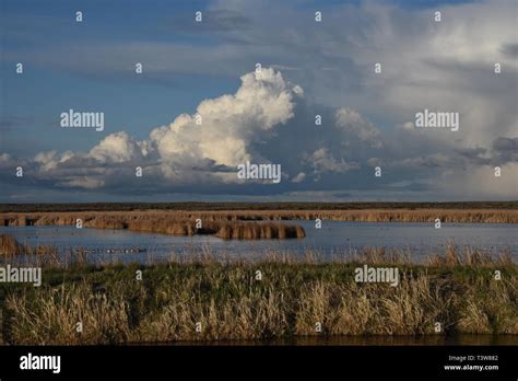 Market Lake Wma Hi Res Stock Photography And Images Alamy