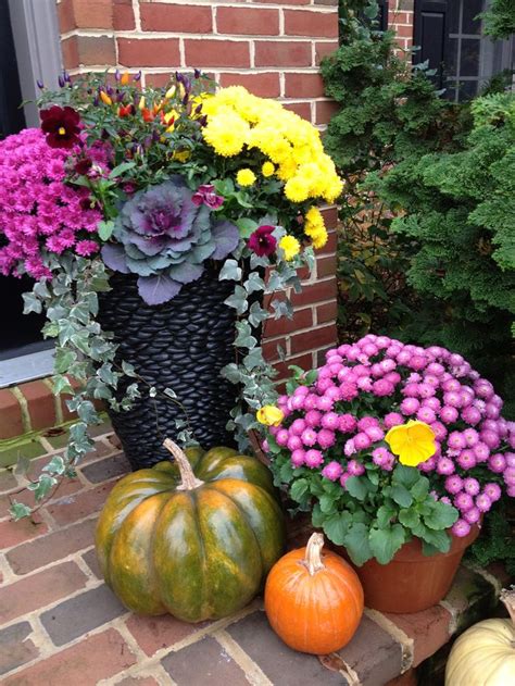 Nontraditional Autumn Container Garden Pink Purple Yellow Mums