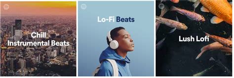 Lofi Beats Spotify Promotion