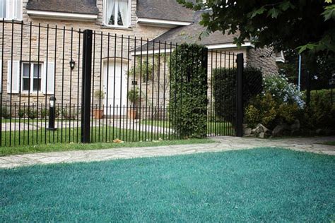 It takes only two to three weeks to grow into a thick lawn. DIY Hydroseeding Project Ideas DIY Projects Craft Ideas & How To's for Home Decor with Videos