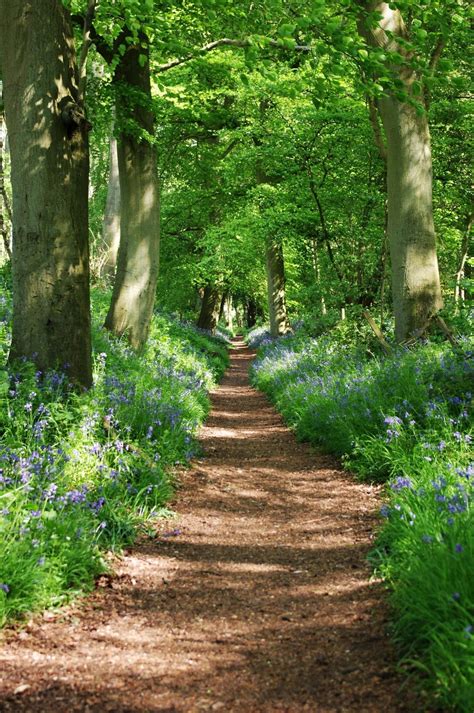 33 Beautiful Pathway You Can Build In Your Garden