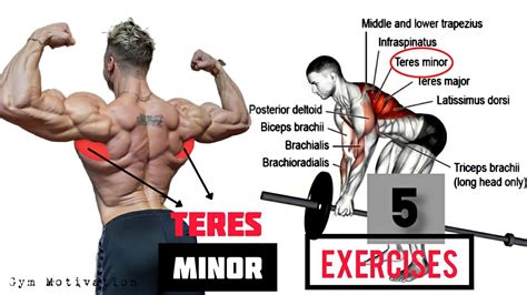 Best 5 Exercises Teres Minor Workout Shredded Body Youtube