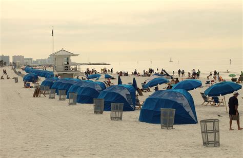 The Single Domestic Clearwater Beach In January