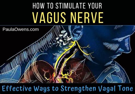 How To Stimulate Your Vagus Nerve Paula Owens Ms