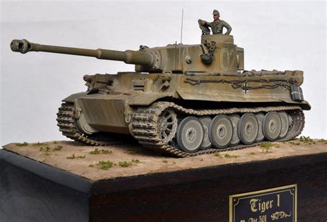 Heidi A Tunisian Tiger Completed Pics Finescale Modeler