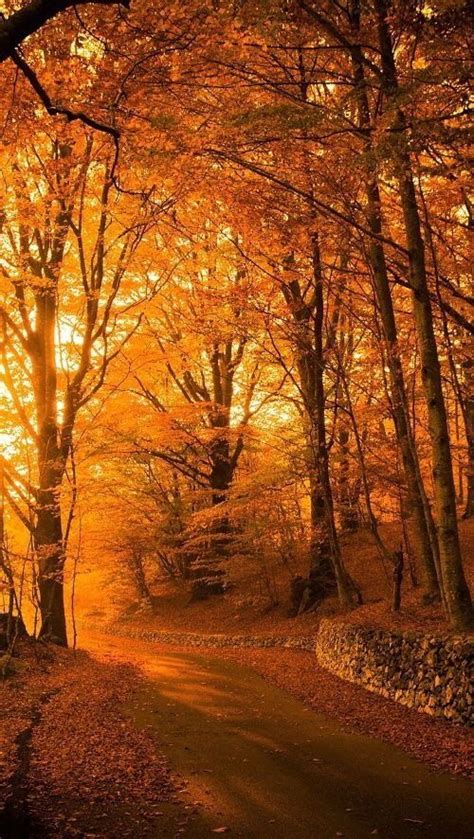 Pin By Bodo Michels On Der Herbst Autumn Scenery Autumn Landscape