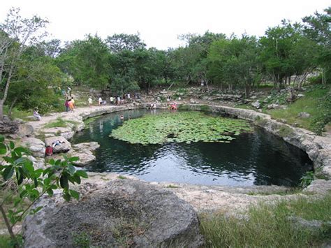 Cenote At Dzibilchaltum Yucatan Mexico Cenotes Are Natur Flickr