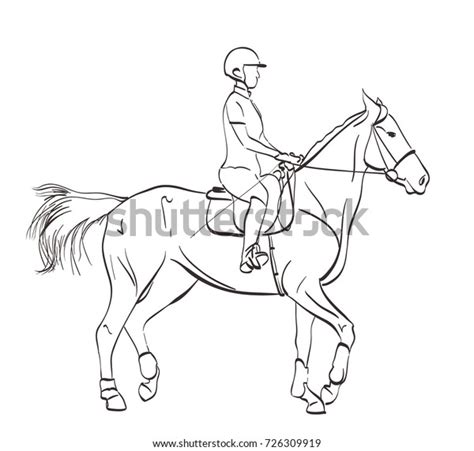 Horse Riding Illustration Line Art Drawing Stock Illustration 726309919