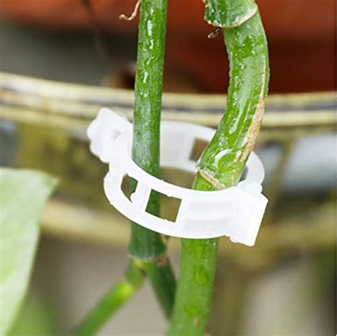 50pcs Durable Plastic Tomato Clips Fastener Plant Vines Tomato