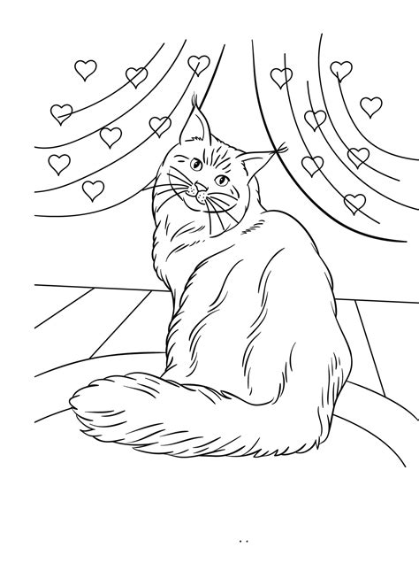 maine coon coloring pages    print