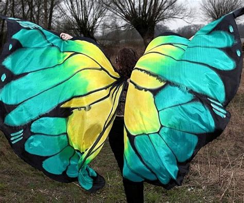 Hand Painted Silk Butterfly Wings