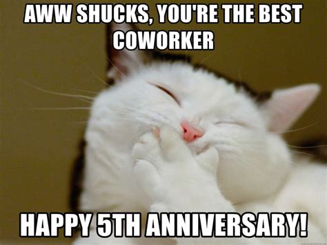 Work Anniversary Meme Cat Happy Work Anniversary Memes Submit A Sexiz Pix