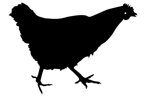 Chicken Silhouette Graphic By Idrawsilhouettes · Creative Fabrica