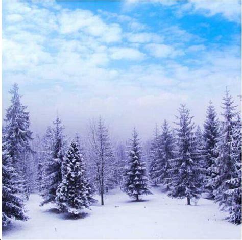Winter Blue Sky White Clouds Snow Woodland Forest Trees