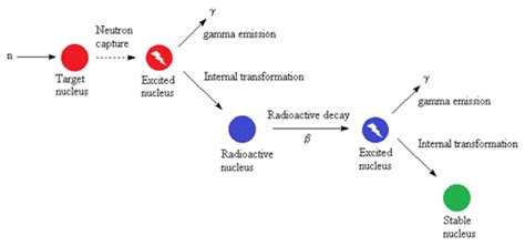 Neutron Activation Analysis Analytical Techniques Jordi Labs