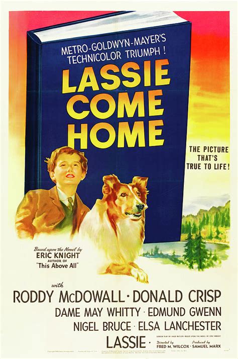 Vintage Movie Poster Lassie Come Home 1943 Mixed Media By Mountain
