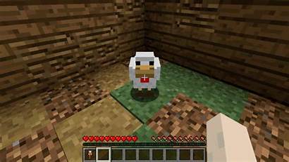 Mod Roost Minecraft Chicken Mods Screenshots Catcher