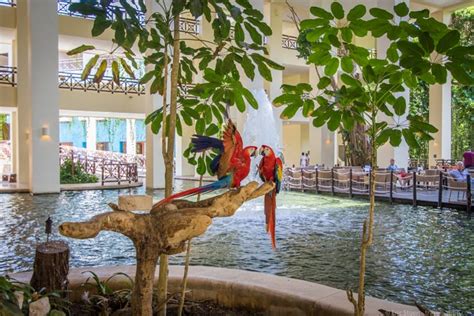 Occidental At Xcaret Destination Kid Friendly Mexico Travel Babbo