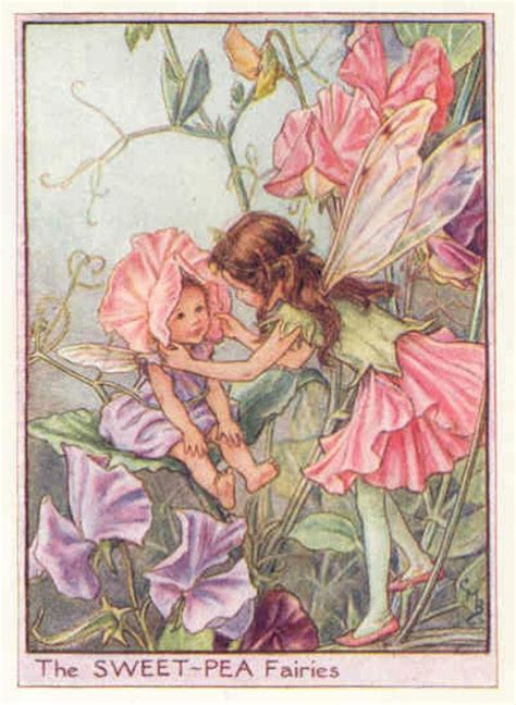 Cicely Mary Barker Flower Fairies Books Flower Fairy Art Floral