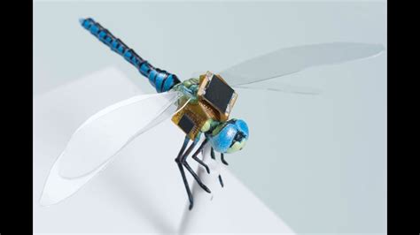 Scientists Turned A Dragonfly Into A Drone Youtube