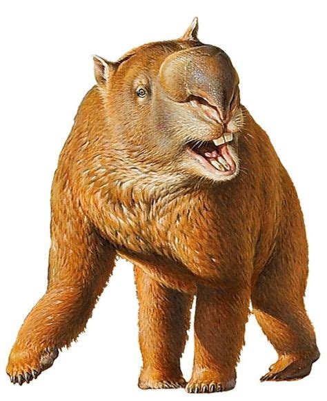 29 ideias de prehistoric mammals animais pré históricos pré história animais extintos
