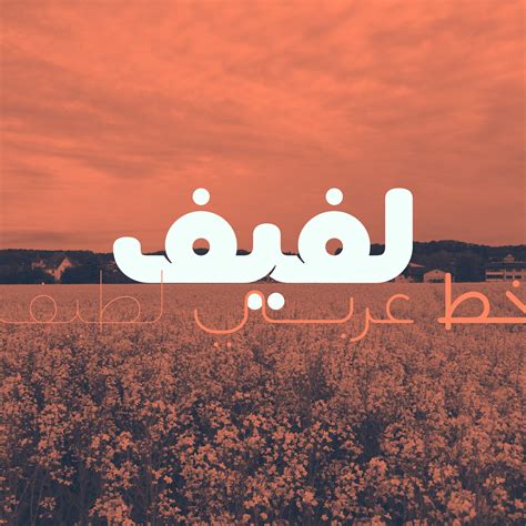 Lafeef Arabic Typeface Arabic Calligraphy Font Islamic Etsy