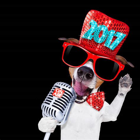 Dogs Singing Happy Birthday Stock Photos Pictures And Royalty Free