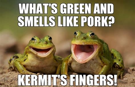 Two Happy Frogs Meme Guy