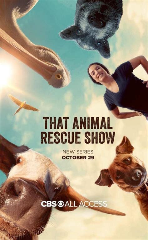 That Animal Rescue Show Tv Series 2020 Filmaffinity