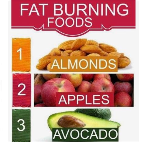 Fat Burning Foods Musely