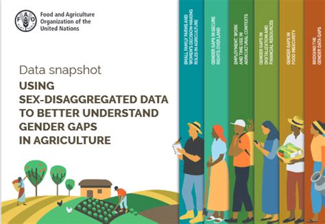 Data Snapshot Using Sex Disaggregated Data To Better Understand Gender