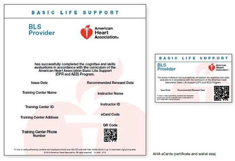 The aha is the leader in resuscitation science, education, and training, and publisher of the official guidelines for cpr and ecc. American Heart Association Cpr Card Login | Webcas.org