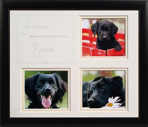 Pet Memorial Frame Dont Even Wanna Think About It But I Like This