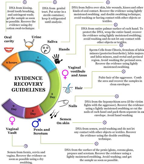 biological evidence analysis in cases of sexual assault intechopen