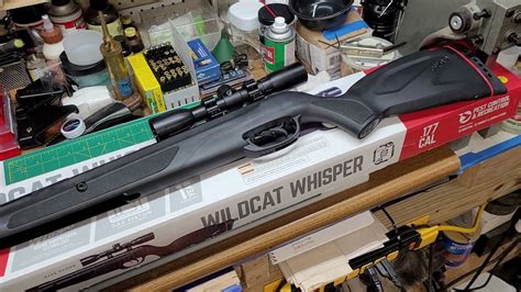 New Air Rifle Gamo Wildcat Whisper YouTube