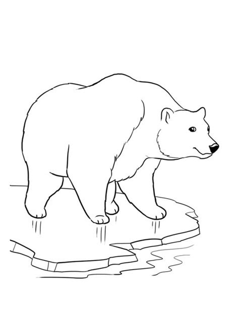 We did not find results for: Get This Polar Bear Coloring Pages to Print Online lj8rr