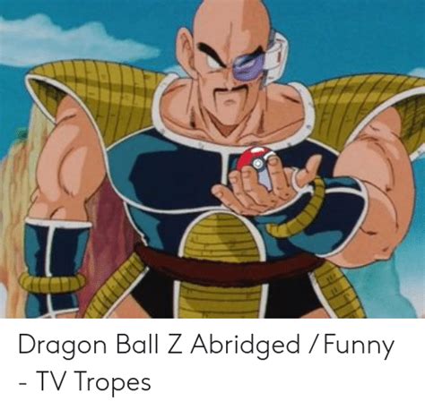 Dragon ball z abridged is a direct parody with most characters and plot lines remaining relatively unchanged. Dragon Ball Z Memes Reddit