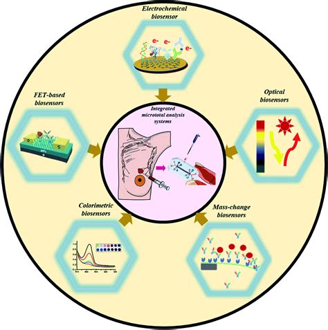 Recent Advances In Biosensing Approaches For Point Of Care Breast