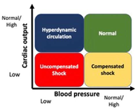 Stage Of Shock By Cardiac Output And Blood Pressure Adapted From
