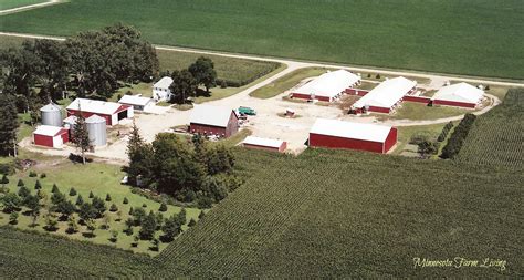 Factory Farming in Minnesota - Truth Revealed | Minnesota Farm Living