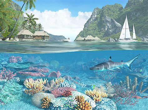 Caribbean Islands 3d Screensaver Download Animated 3d Screensaver