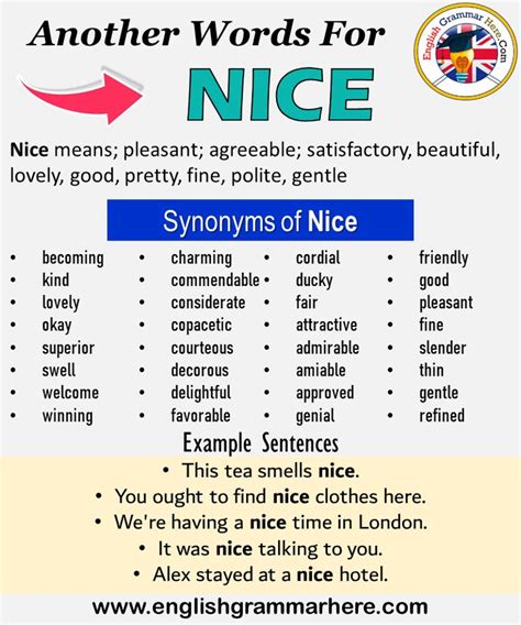 Another Word For Nice What Is Another Synonym Word For Nice Every