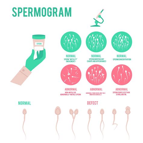 Sperm Count And Fertility All You Need To Know Bee