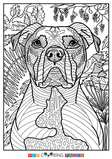 Free Printable Summer Coloring Pages For Adults Free Printable Get