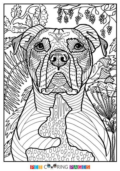 Get This Summer Coloring Pages to Print Out for Adults - 03127
