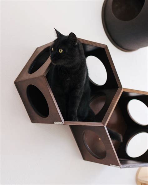 Modern Cat Furniture Doubles as Stylish Modular Wall Art