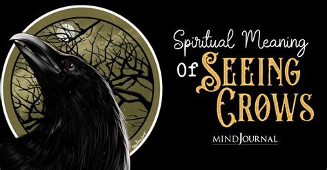 Spiritual Meaning Of Seeing Crows 3 Powerful Crow Symbolism