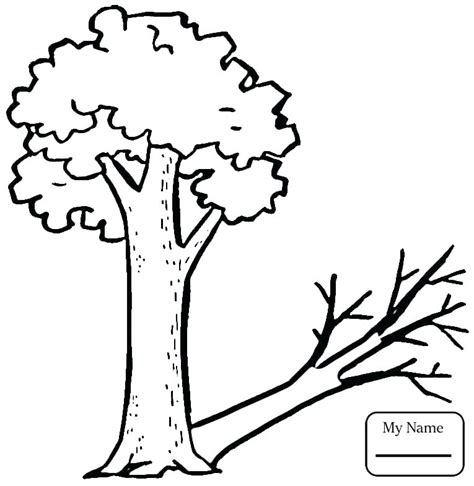 This coloring page features a picture of desert plants to color. Desert Plants Coloring Pages at GetColorings.com | Free ...