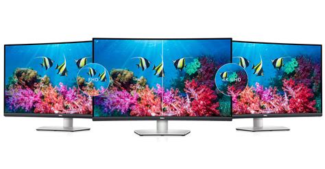 Monitor Buying Guide Dell Thailand