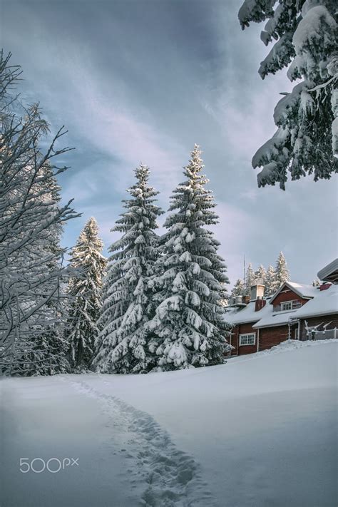 Kuopio Winter Snow Forest Landscape Winter